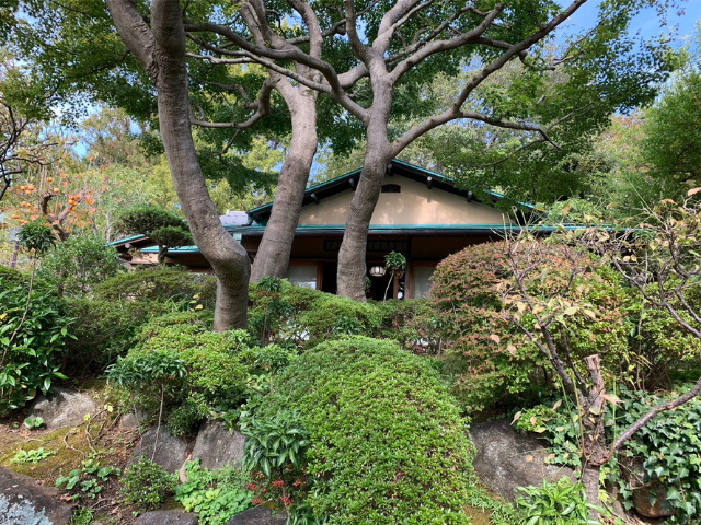 等々力　日本庭園
