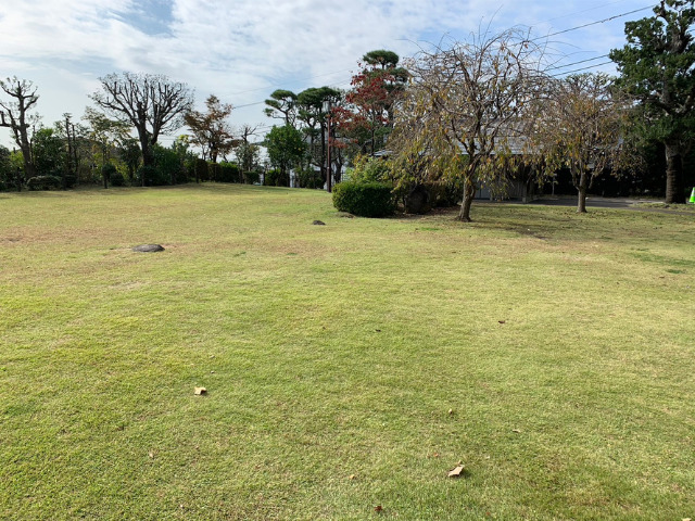 等々力渓谷　日本庭園隣の芝生広場