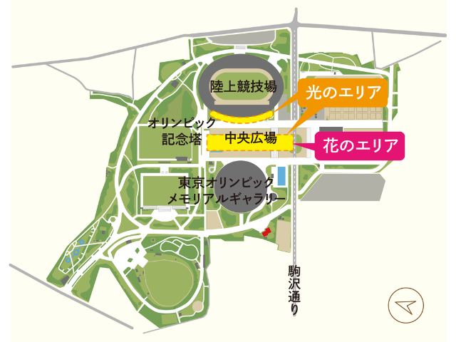 駒沢オリンピック公園ライトアップ