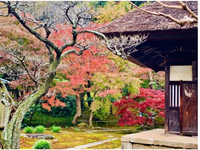 長寿寺　紅葉