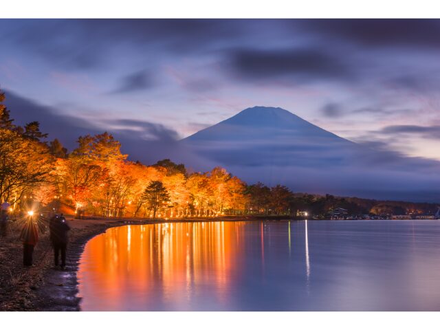 山中湖　紅葉　ライトアップ